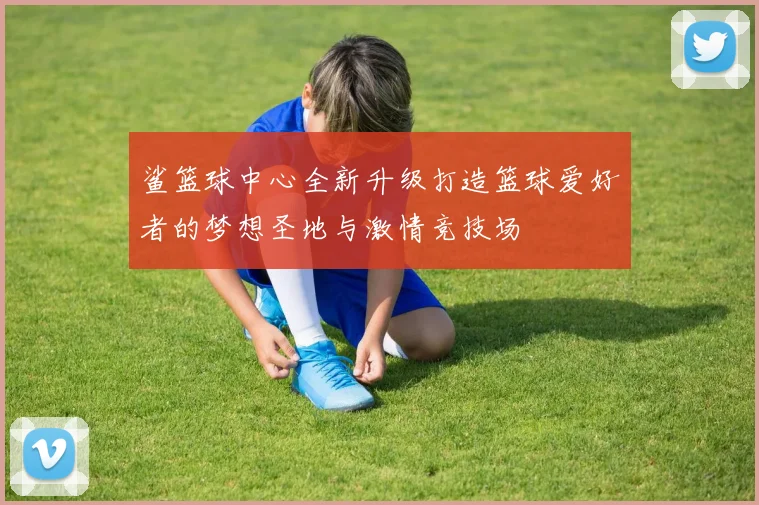 鲨篮球中心全新升级打造篮球爱好者的梦想圣地与激情竞技场