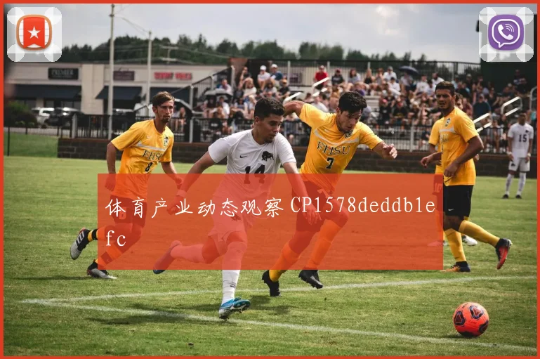 体育产业动态观察 CP1578deddb1efc