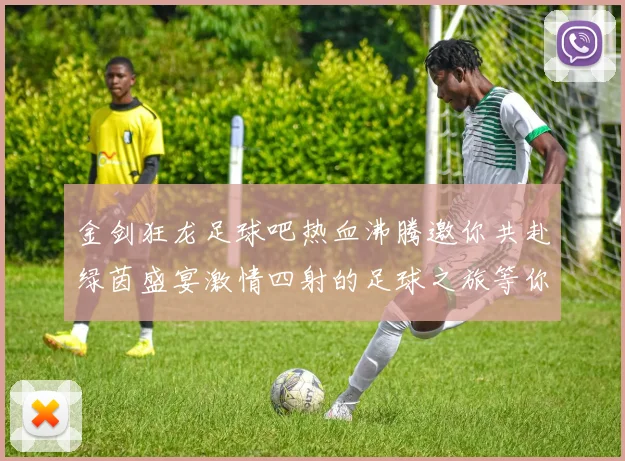 金剑狂龙足球吧热血沸腾邀你共赴绿茵盛宴激情四射的足球之旅等你来参与