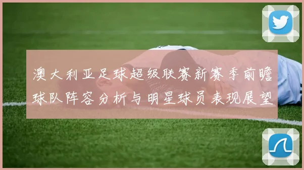 澳大利亚足球超级联赛新赛季前瞻球队阵容分析与明星球员表现展望