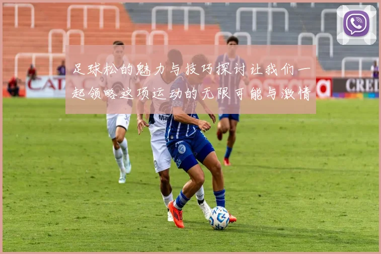 足球松的魅力与技巧探讨让我们一起领略这项运动的无限可能与激情