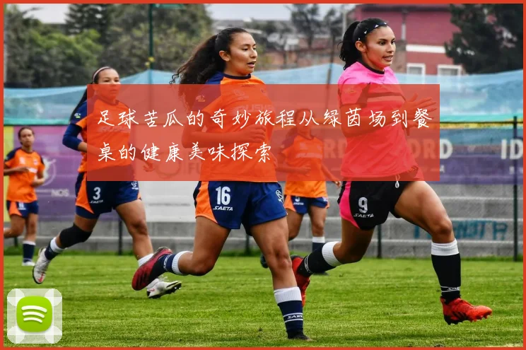 足球苦瓜的奇妙旅程从绿茵场到餐桌的健康美味探索